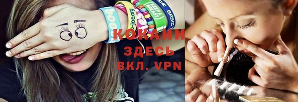 молекула духа Медвежьегорск