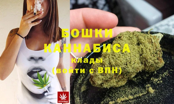 молекула духа Медвежьегорск